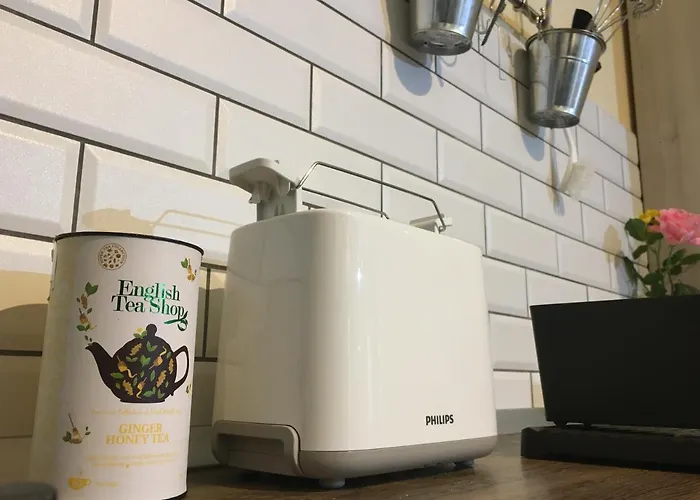 Marge's Cosy Old Town Nest 公寓 布拉索夫