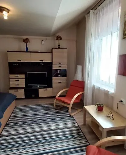 Marge's Cosy Old Town Nest 公寓 布拉索夫